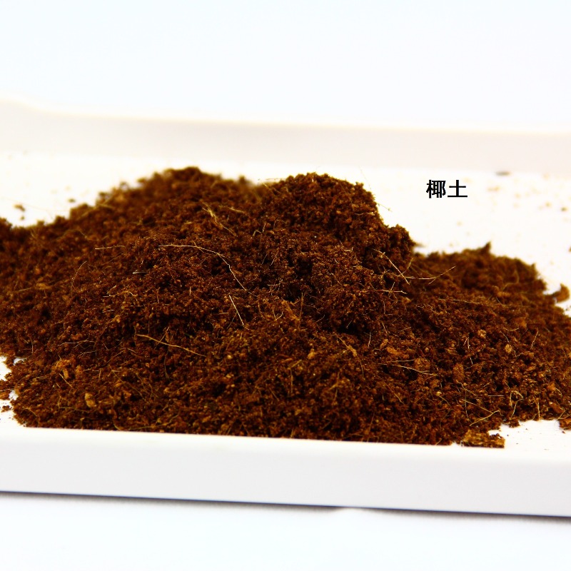 Coconut Soil Brick Reptile Sub - Substrate Coconut Fiber review and price