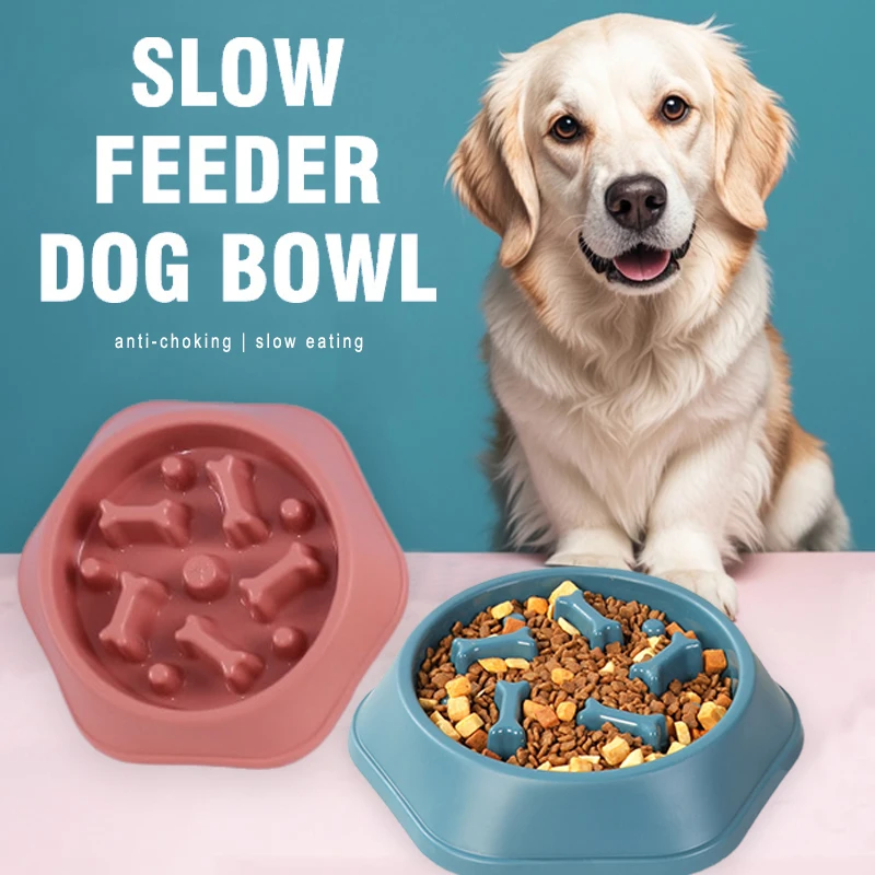 New Slow Feeder Dog Bowl Anti- - Royal Canin Food Medium review and price