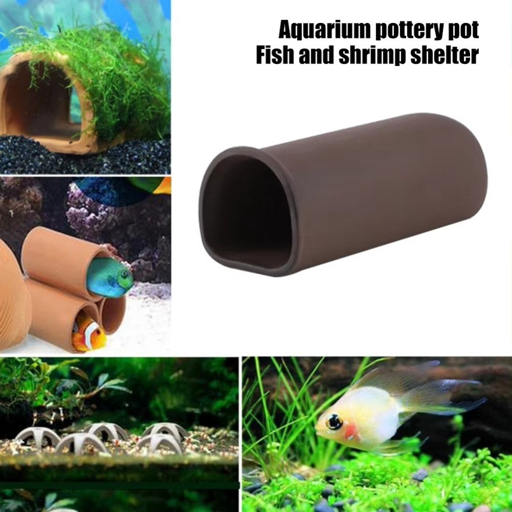 Playing Breeding Spawning Aqua - Hide Cave Ceramic review and price