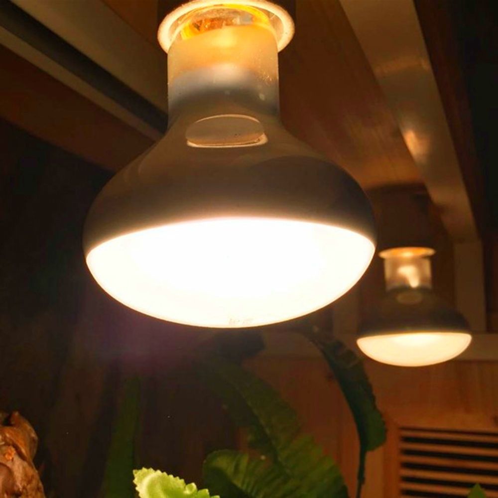 Lizard Heater Temperature Cont - Basking Bulb Halogen review and price