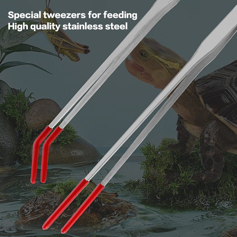 Stainless Steel Reptile Feedin - Feeding Tong Stainless review and price