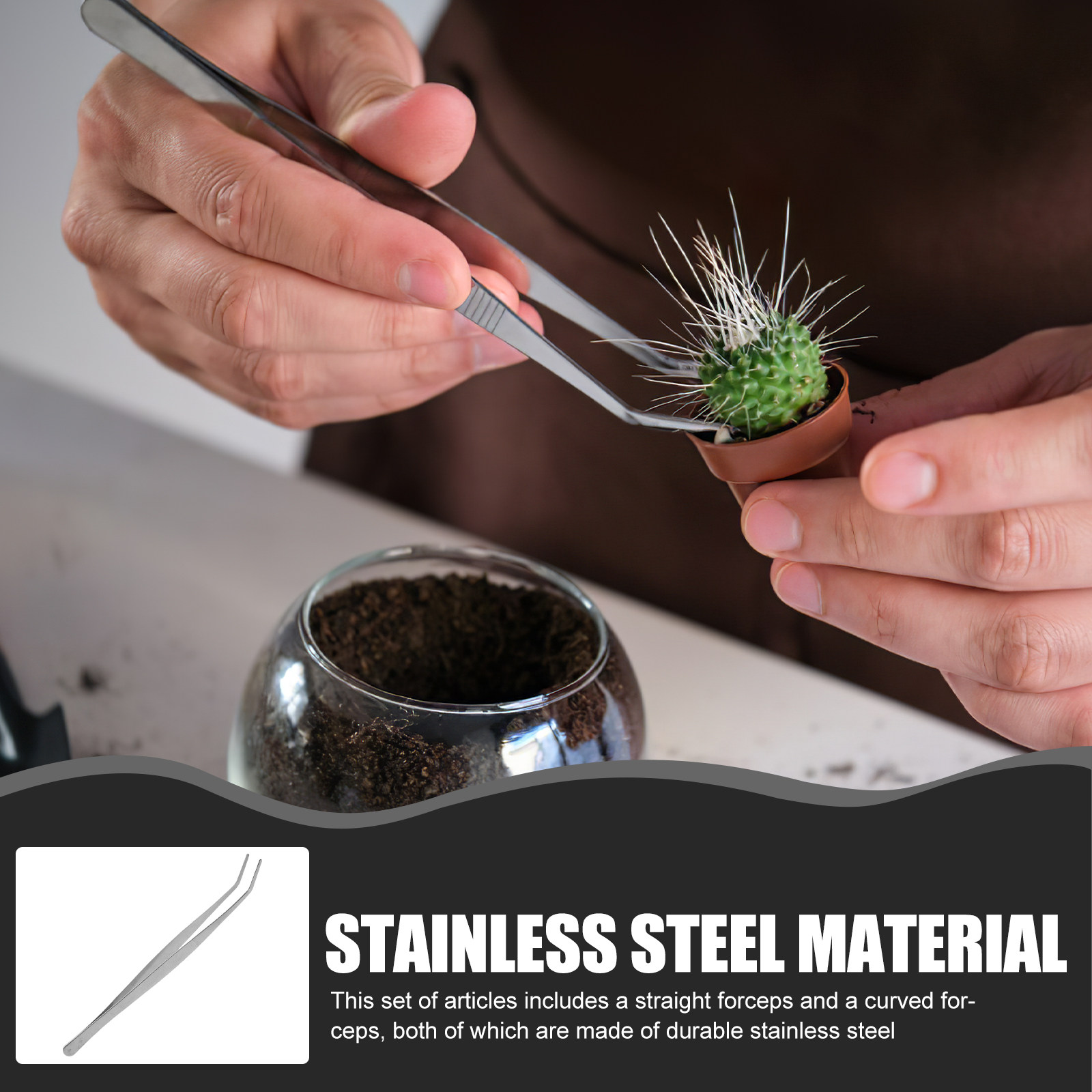 2Pcs Stainless Steel Tweezers  - Feeding Tong Stainless review and price