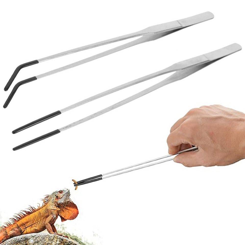 2Pcs Stainless Steel Aquarium  - Feeding Tong Stainless review and price